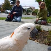 Wandering around in Berkley