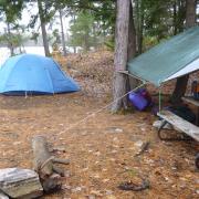 Morning at Vixen lake