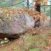 Magic rock