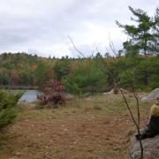 Overlooking Compass lake