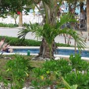 Relaxing at the resort