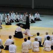 Yamada Sensei teaches