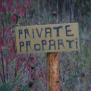 The first sign we're out in the country