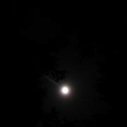 Nighttime