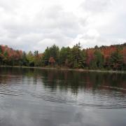 Daytime on the lake