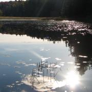 Daytime on the lake