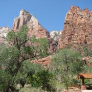 Zion National Park