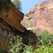 Zion National Park