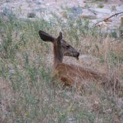 Zion National Park