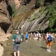 Zion National Park
