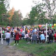 Swedish night