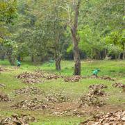 Heading up to Angkor Thom