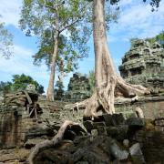 Ta Prohm