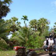 On the road to Kbal Spean