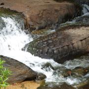 Riverbed carvings at Kbal Spean