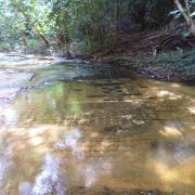 Riverbed carvings at Kbal Spean