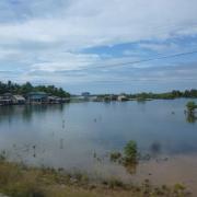 Countryside on the way to Kampot