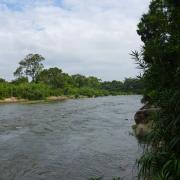 A swimming hole near Kampot