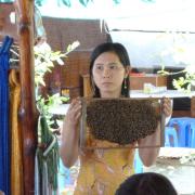 A bee farm in the Mekong delta