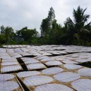 Rice noodle producers in the Mekong delta