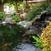 At a crocodile farm in the Mekong delta