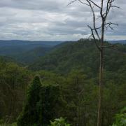 The view from Da Lat