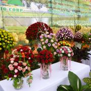 Flower festival in Da Lat