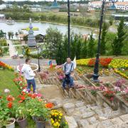 Flower festival in Da Lat