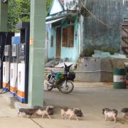Gas station in the mountains outside of Da Lat