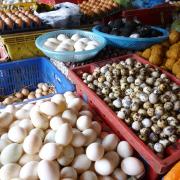 Eggs in the market at Hoi An