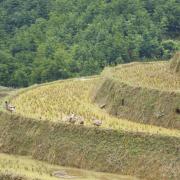 Hiking around Sapa