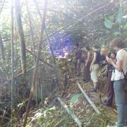 Jungle on day 1