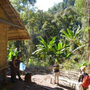 Empty cabin in the jungle on day 1