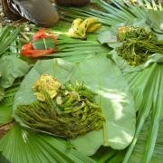 Lunch in the jungle on day 1
