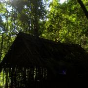 Empty cabin in the jungle on day 1