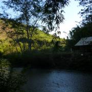 Jungle camp on day 1