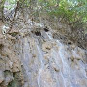 Near the top of Kouang Si waterfall