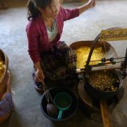Spinning thread at the silk farm