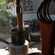 Dying thread at the silk farm