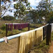 Dyed thread at the silk farm