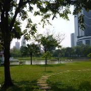 Park in the city
